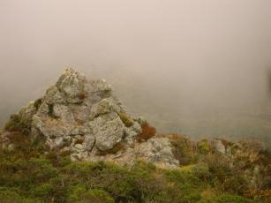 A rock soaks up the fog