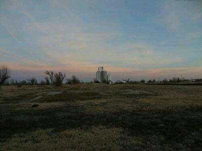 Grain elevator in Greensburg. You can see the foundations where houses were torn up by the tornado
