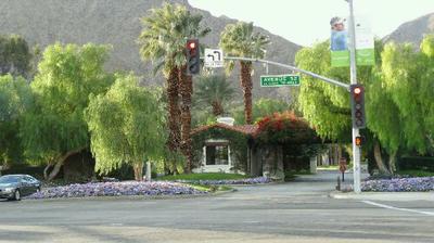 Willows and flowers in the winter desert